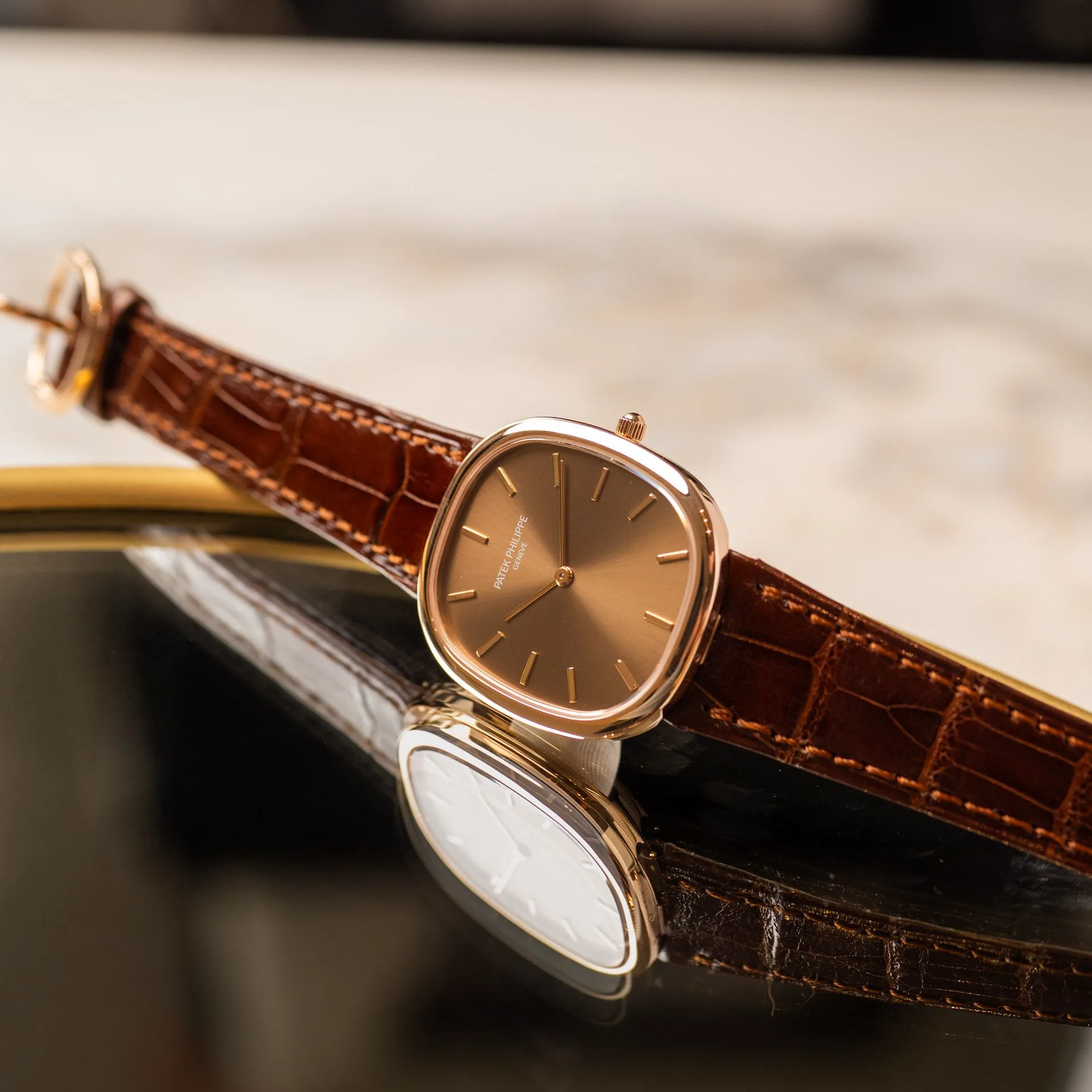Ellipse 3738/100R-001 Alligator "Brown Jumbo" – 2006