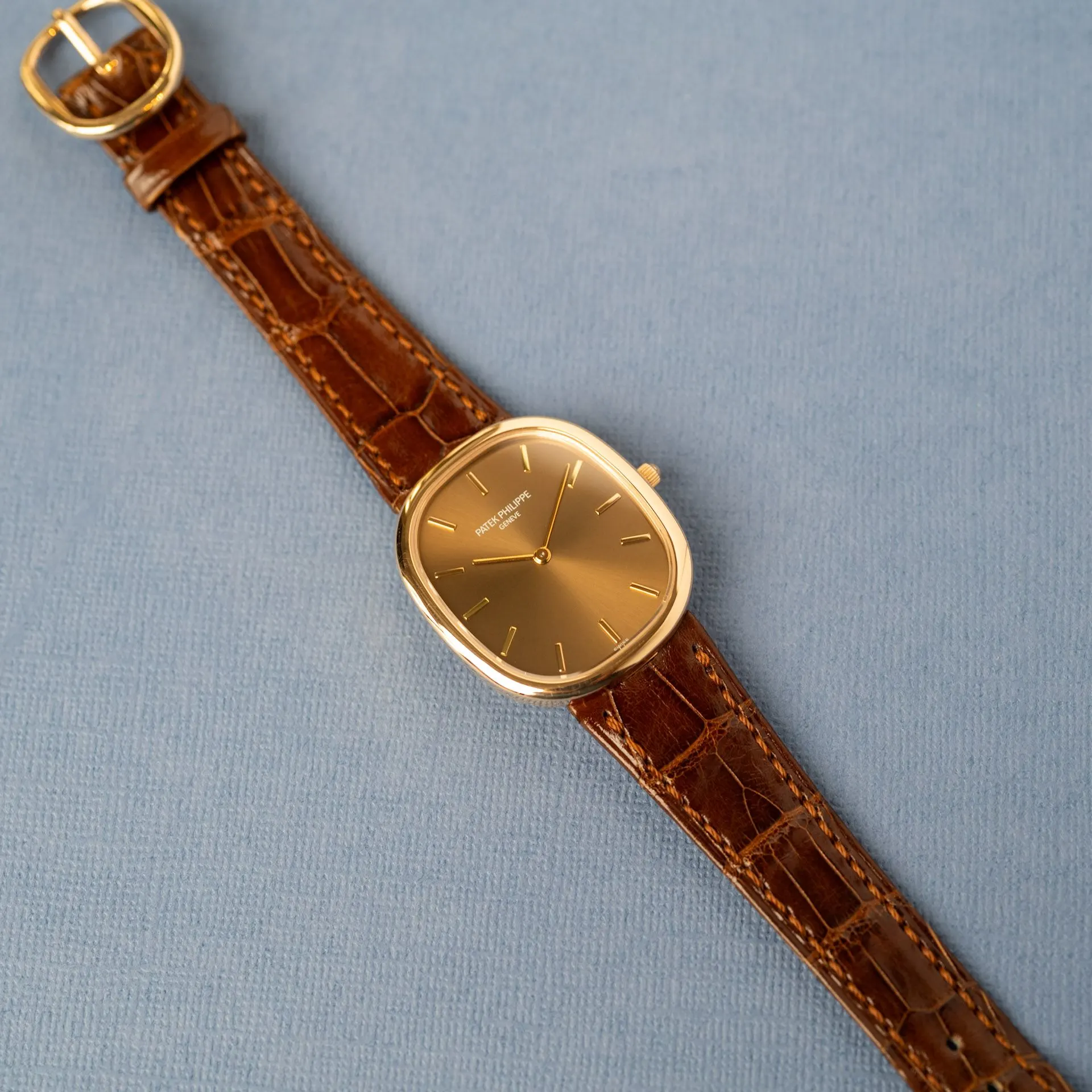 Ellipse 3738/100R-001 Alligator "Brown Jumbo" – 2006