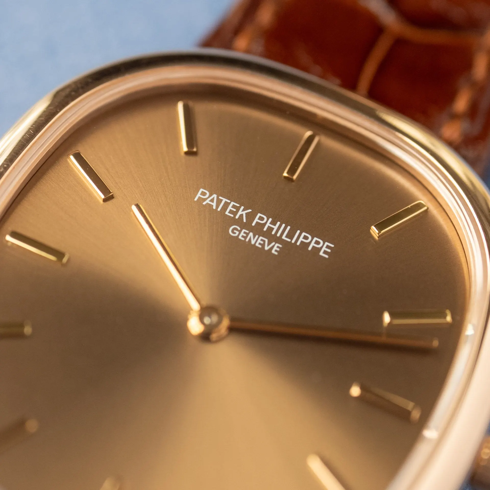 Ellipse 3738/100R-001 Alligator "Brown Jumbo" – 2006