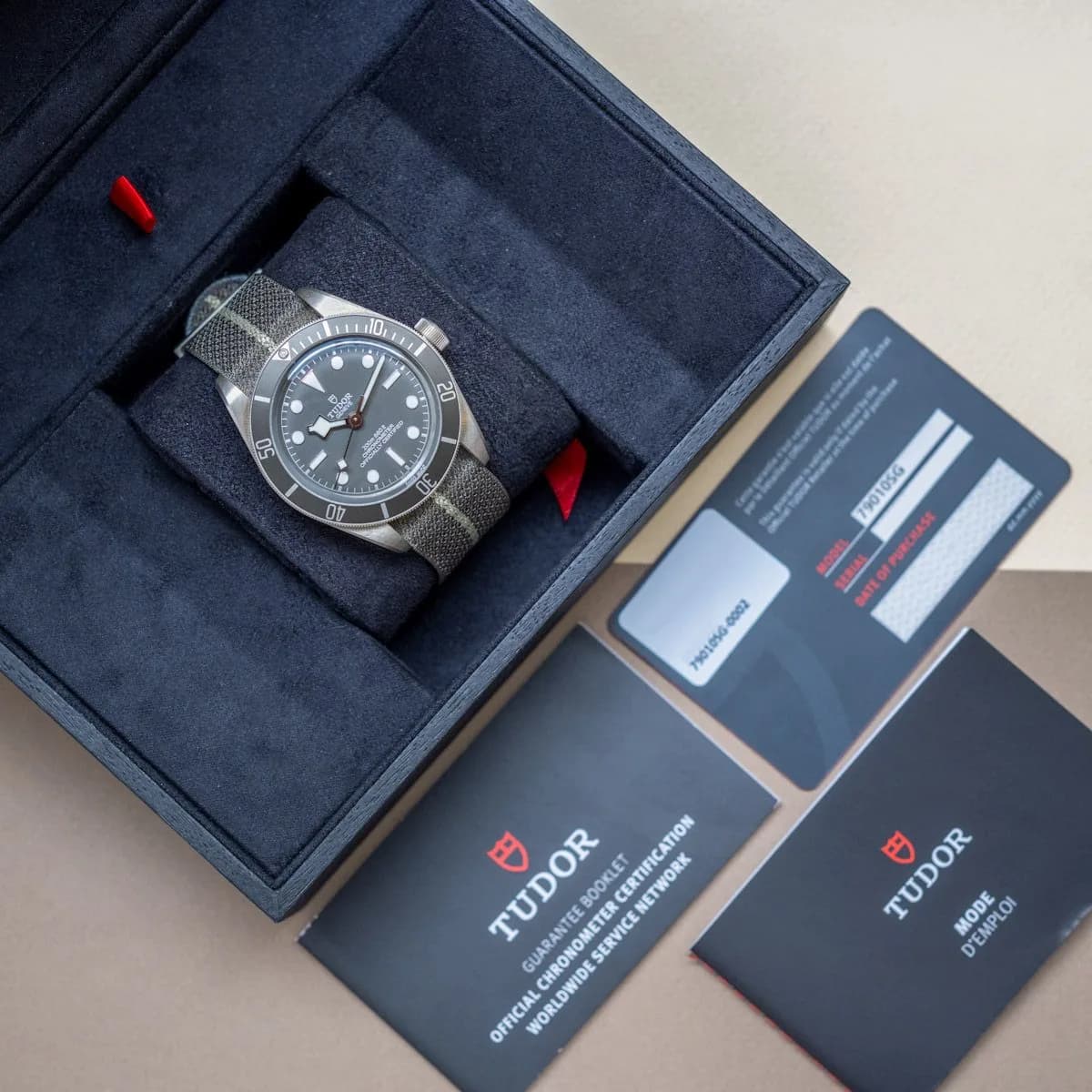 Black Bay 79010SG Nato  – 2022