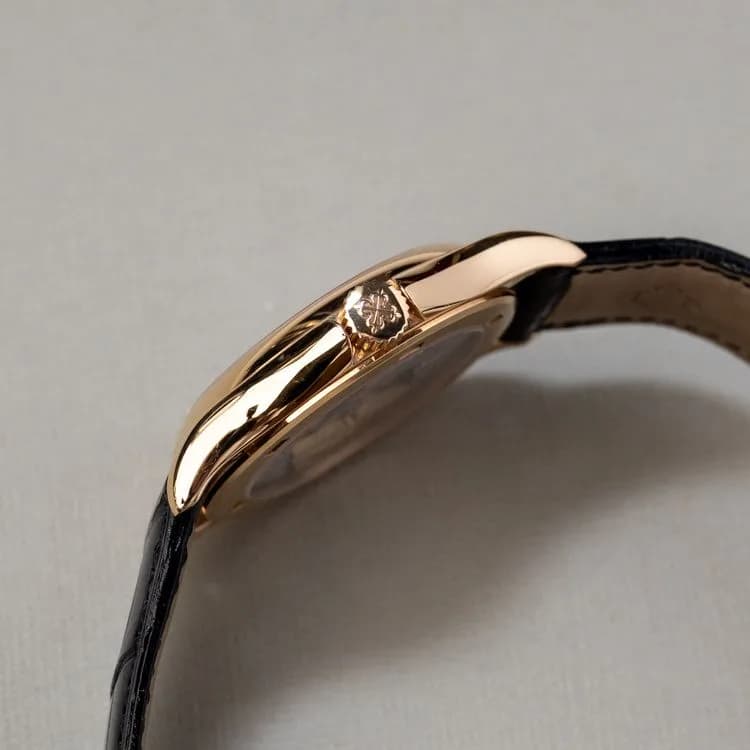 Complications 5110R-001 Alligator  – 2004