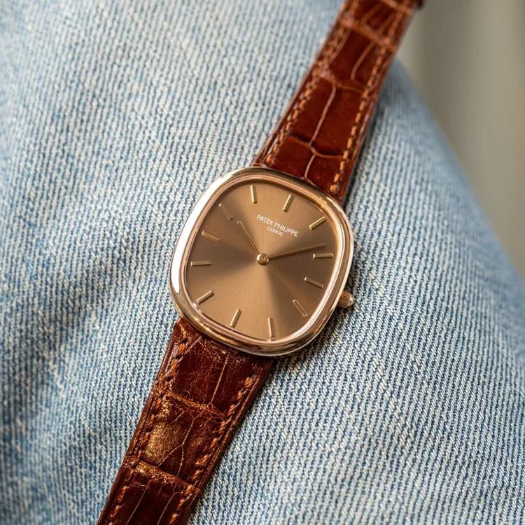 Ellipse 3738/100R-001 Alligator "Brown Jumbo" – 2006