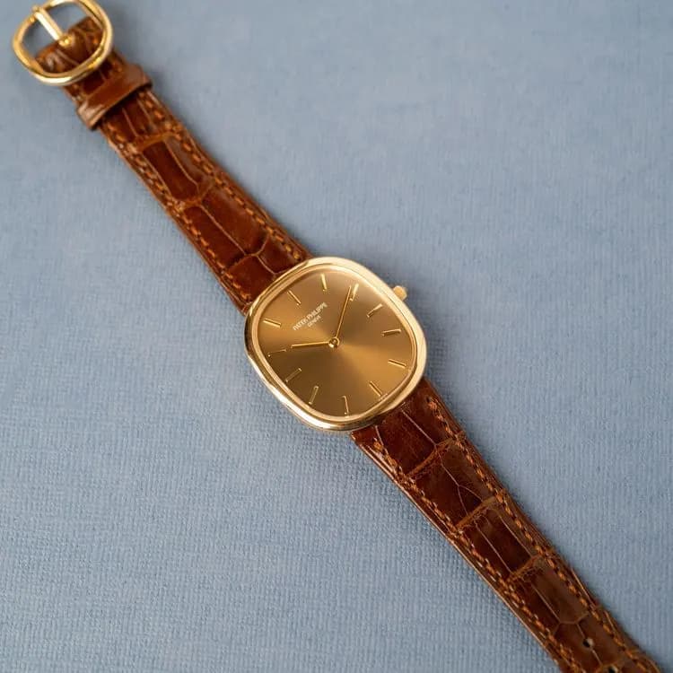 Ellipse 3738/100R-001 Alligator "Brown Jumbo" – 2006