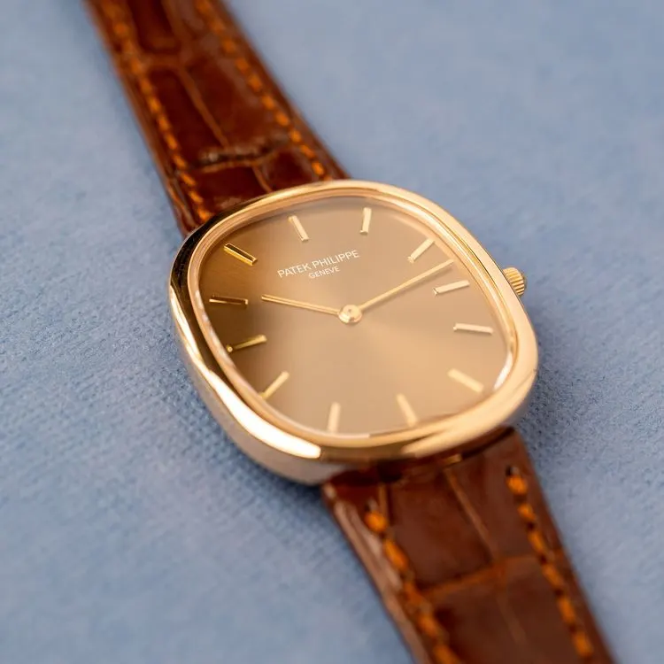 Ellipse 3738/100R-001 Alligator "Brown Jumbo" – 2006