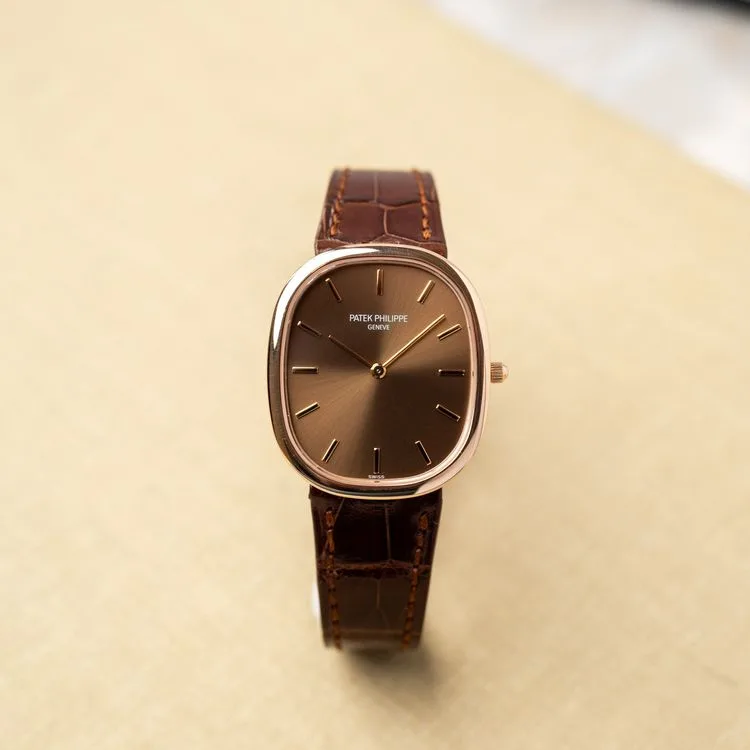 Ellipse 3738/100R-001 Alligator "Brown Jumbo" – 2006