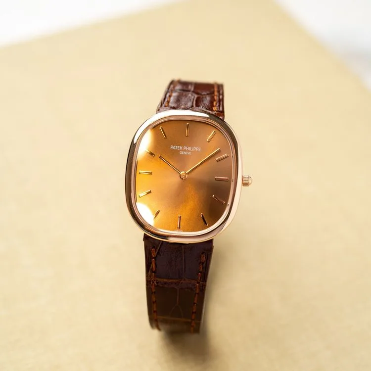 Ellipse 3738/100R-001 Alligator "Brown Jumbo" – 2006