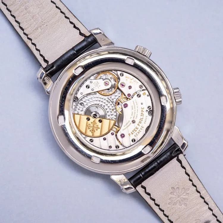 Grand Complications 5102G Alligator "Celestial" – 2005
