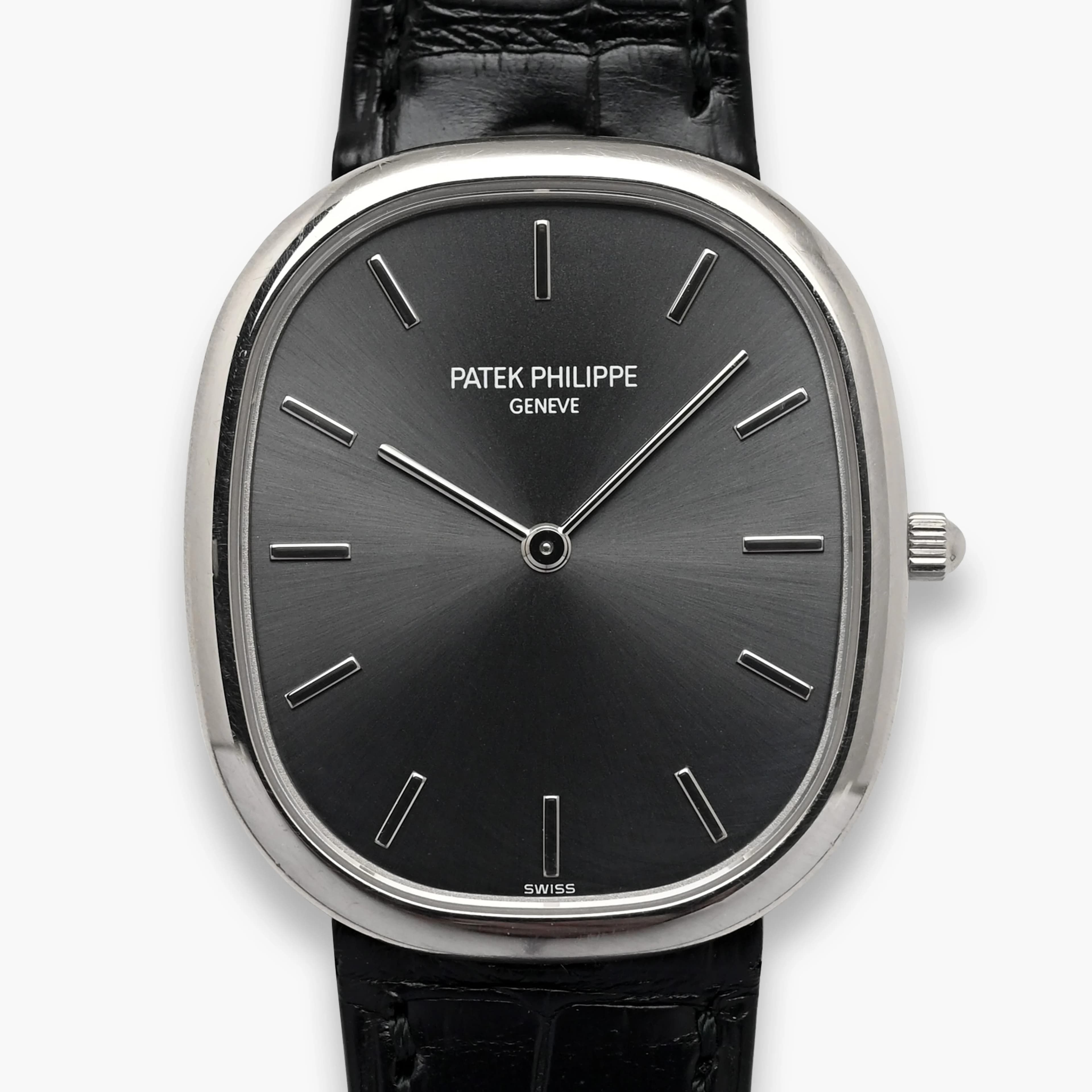Ellipse 3738/100G Cuir – 2016