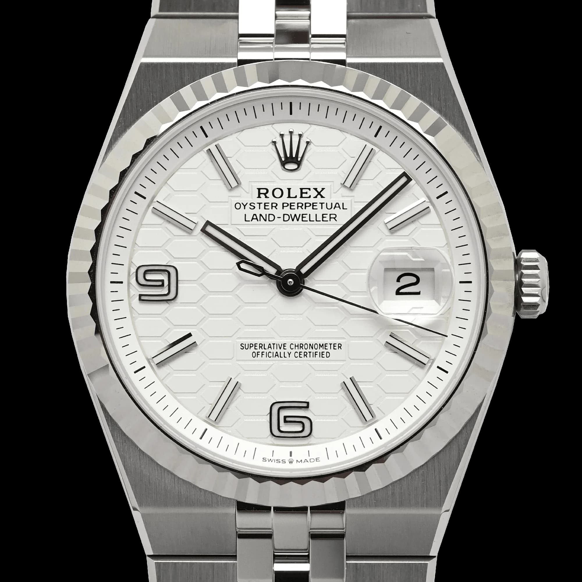 Land-Dweller 127334 Stainless Steel – 2026